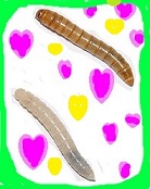 見るワーム (1).JPG