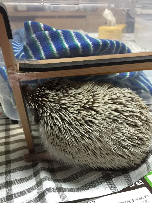 rblog-20150620225740-01.jpg