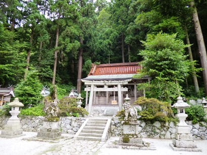 a-P1030415.jpg