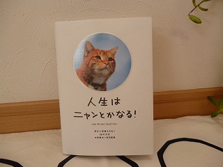 P1130784ss.jpg