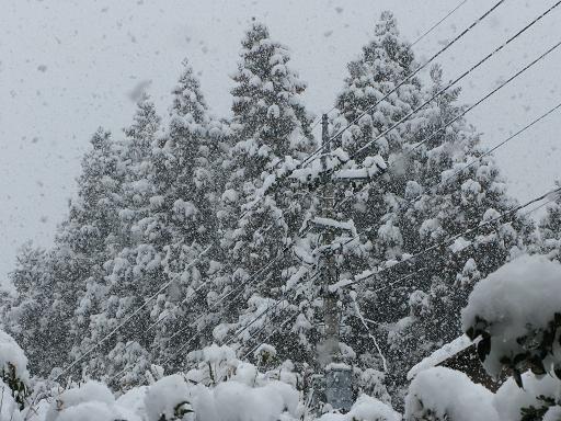 2月29日の雪 2