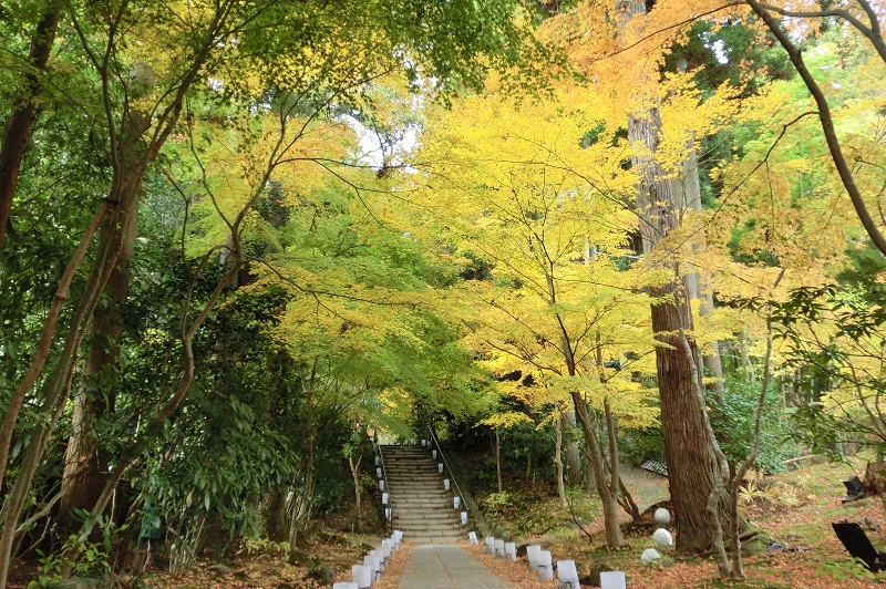 円通院３