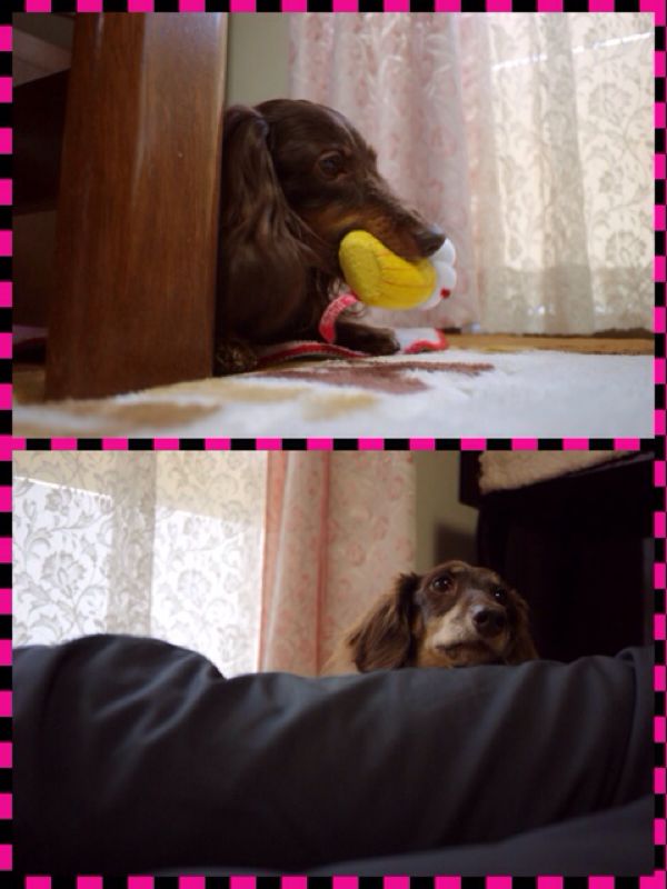 rblog-20140222191918-03.jpg