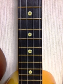 20120813-2.jpeg