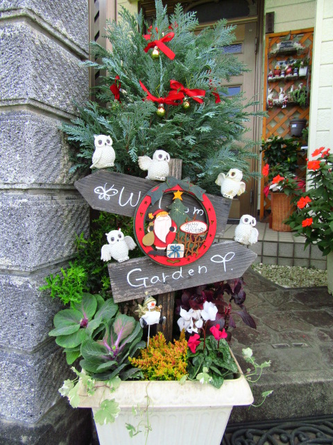 IMG_7117.JPG