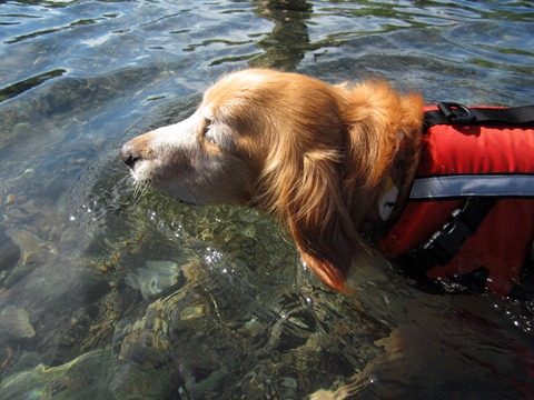 2012-0826-05.jpg