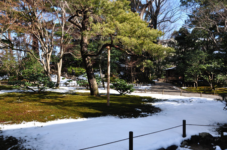 雪１