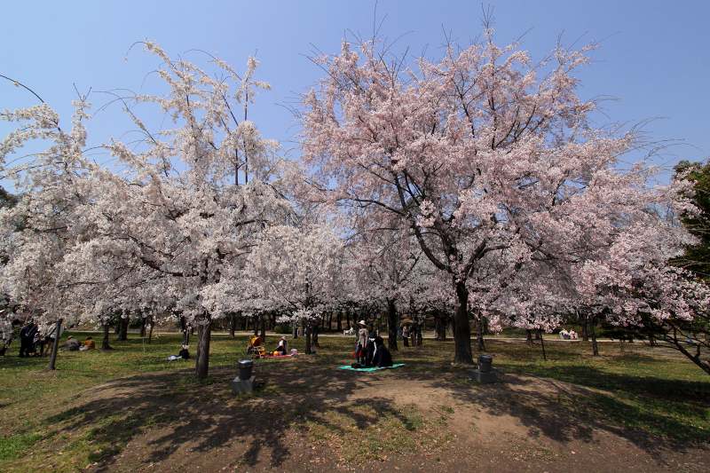 大阪城公園_11-2.jpg