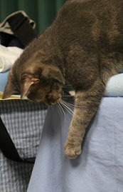 5DA_1482-12.jpg