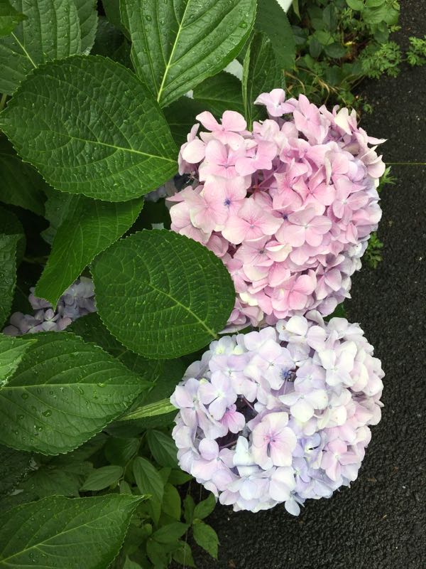 rblog-20160623193747-02.jpg