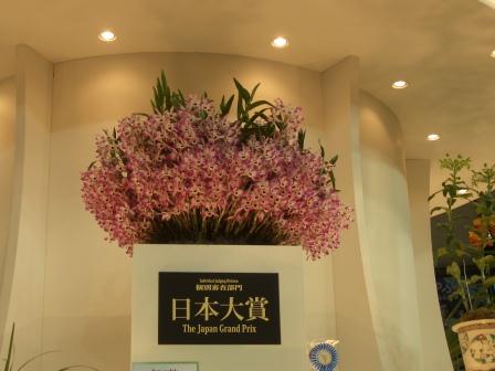 CIMG5205.JPG