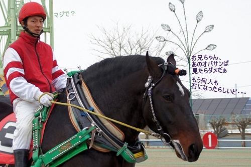 ハヤテショウリキ