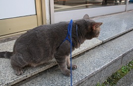 IMG_4839-31.jpg