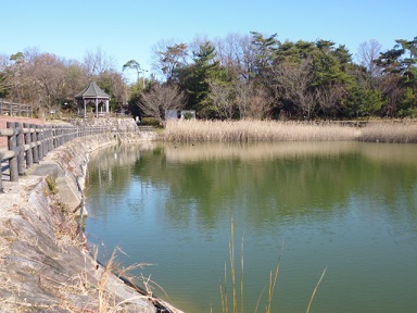 P1000670.JPG