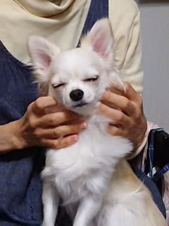 2015-12-05 22:40:43