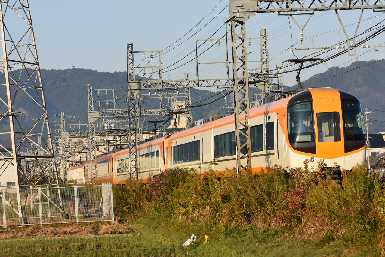 DSC_8460.JPG