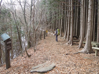 DSCN6367s.jpg