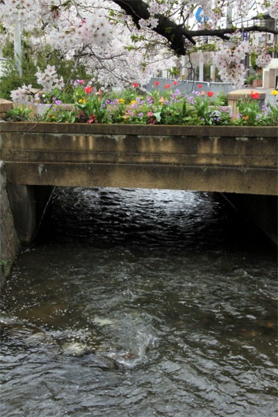 IMG_0237玉串川の橋花壇.jpg