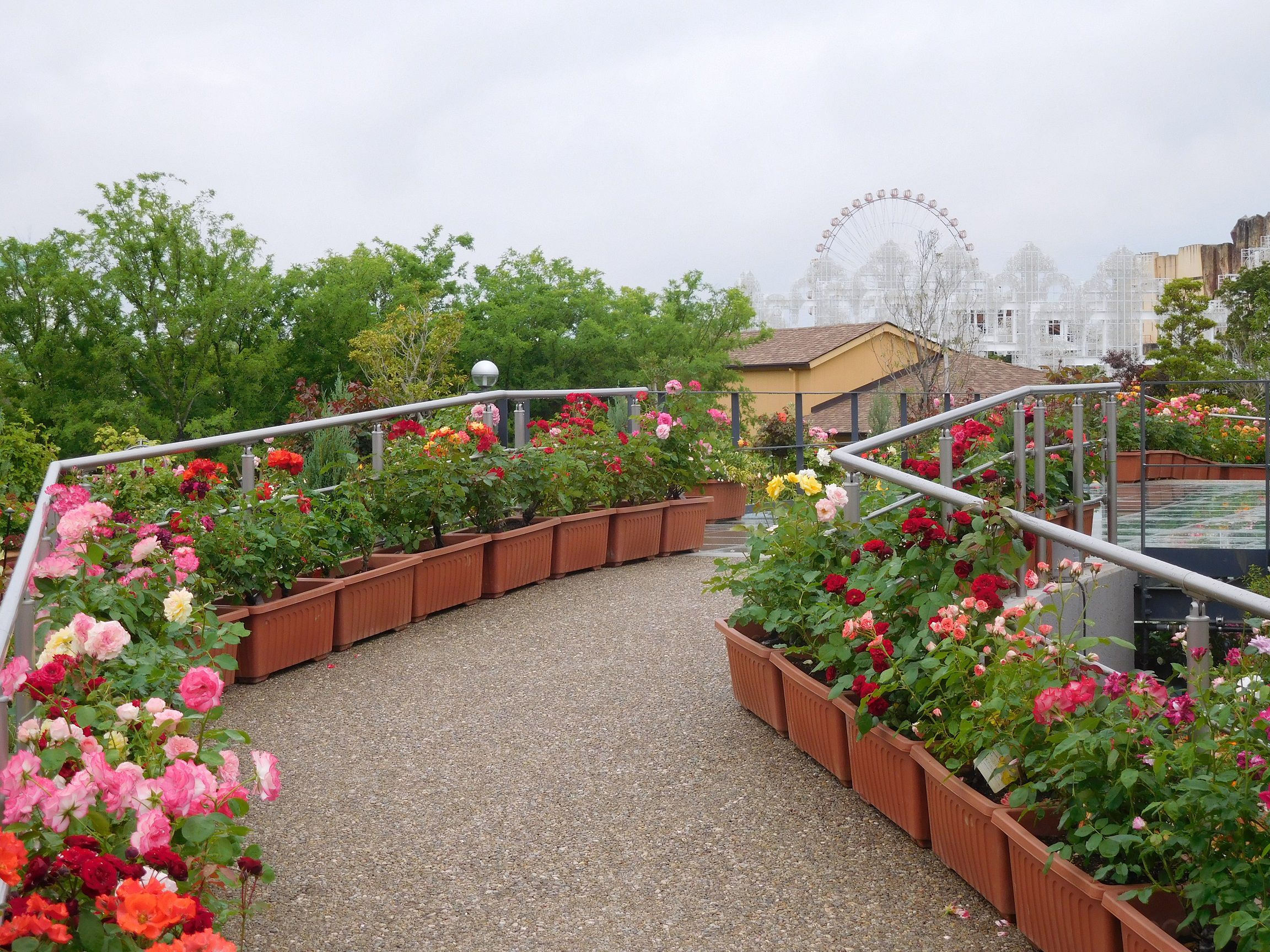 ラグーナテンボスのフラワーラグーン行ってきた ｔｅａ ｇａｒｄｅｎ ちょっとひとりごと 楽天ブログ