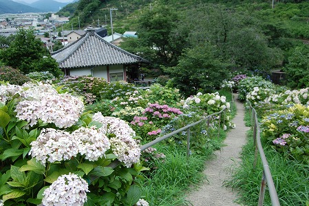 s-DSC_0371.jpg