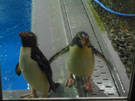 越前松島水族館