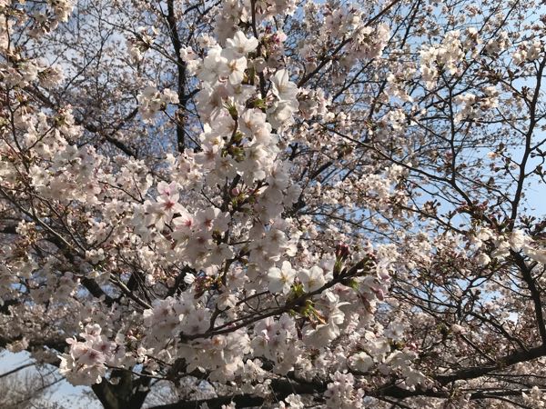 rblog-20190331200607-04.jpg