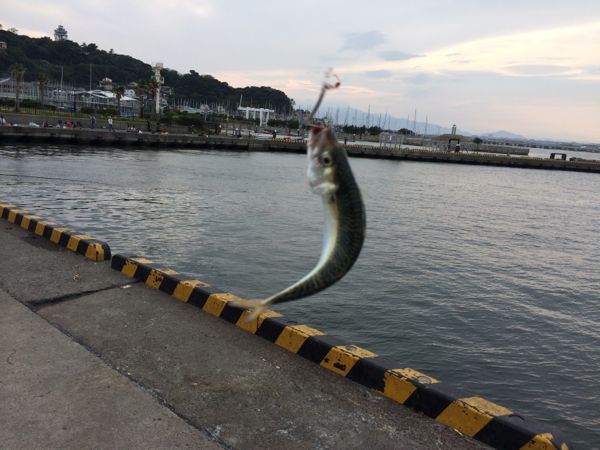 rblog-20140712221146-01.jpg