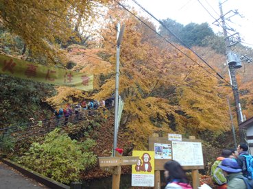 高２