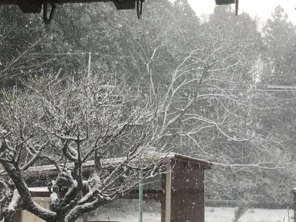 rblog-20161229120523-01.jpg