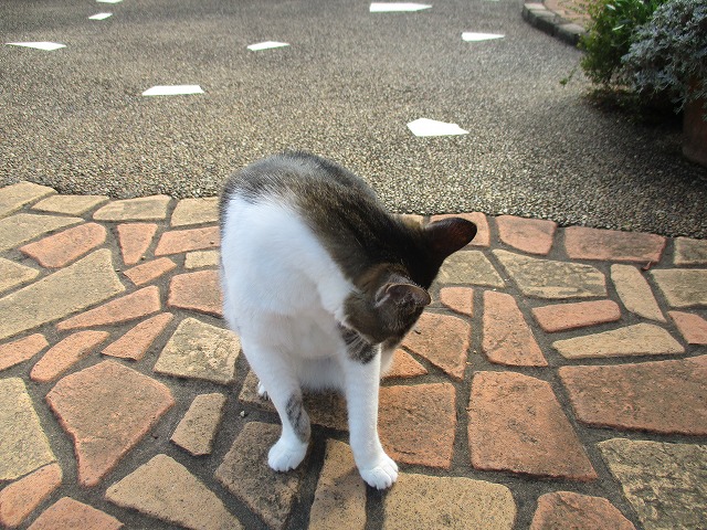 IMG_8602ss.jpg