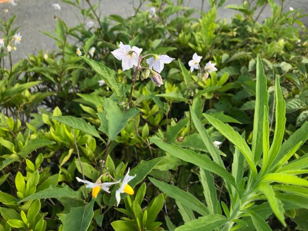 rblog-20180624181305-09.jpg