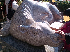 conv0015.JPG