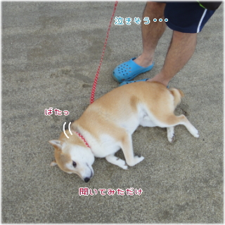 ken願い4.jpg