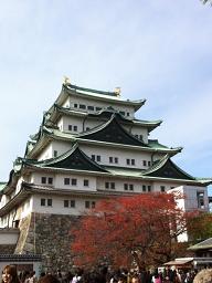 IMG_8878.jpg