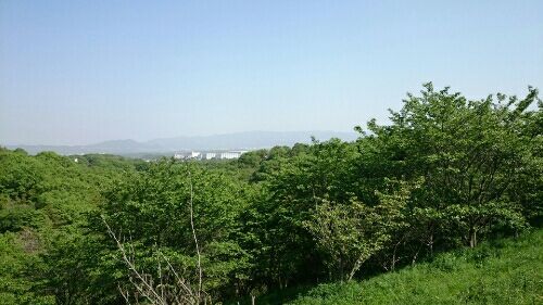 rblog-20170508214625-01.jpg