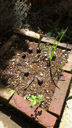rblog-20140331112258-03.jpg
