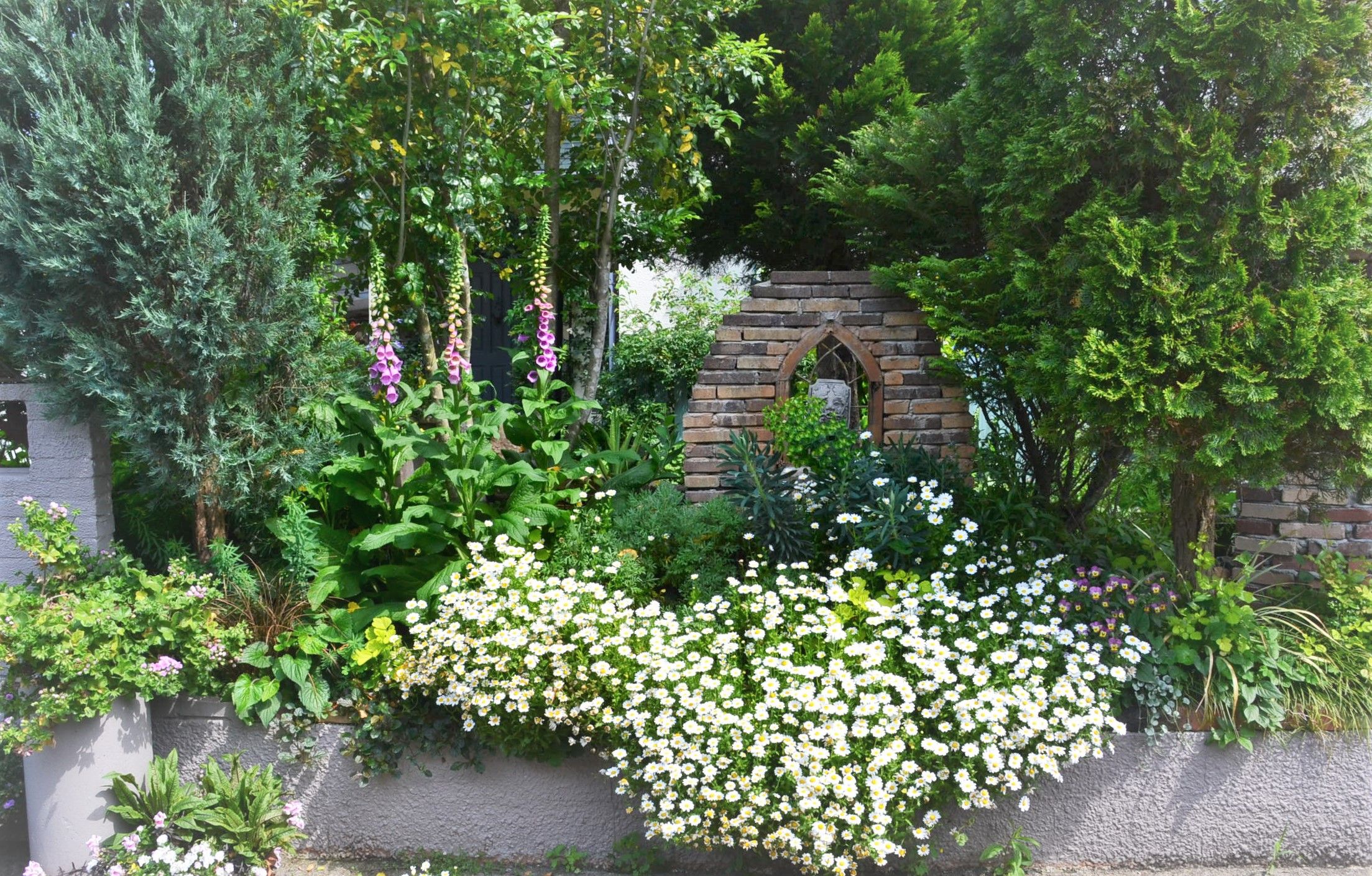 片付けて夏花壇へ ようこそブルーガーデンへ 楽天ブログ