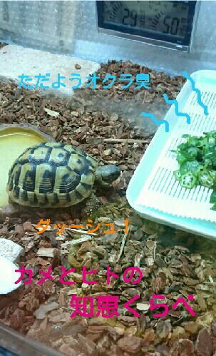 rblog-20151022091020-02.jpg
