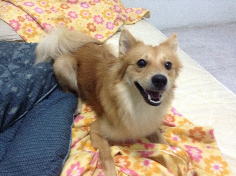 あい