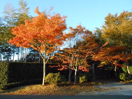 DSCN0885.jpg