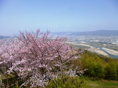 a-P1040459.jpg