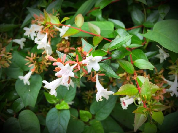 rblog-20160828185821-06.jpg