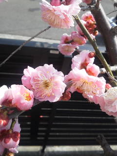 2012-03-20 14:33:31