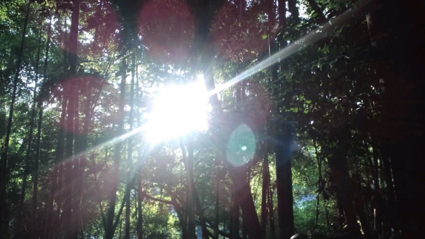 ML_rw_120710_180047.jpg