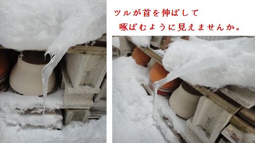 氷の芸術品