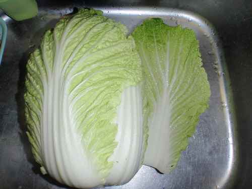 PC17白菜.jpg