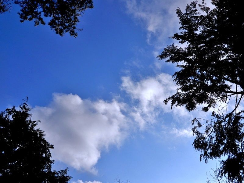 空2