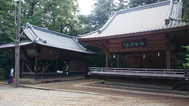2015-07-20 09.10.52.jpg