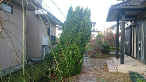 rblog-20171023214547-02.jpg