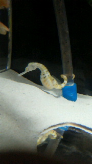 2012021316000002.jpg